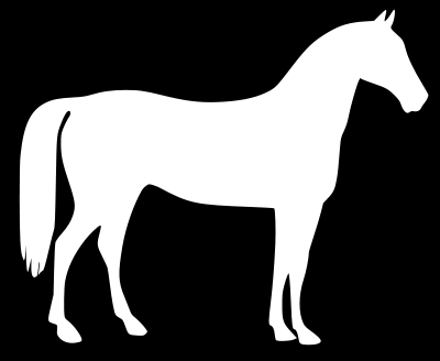 cavallo maschera